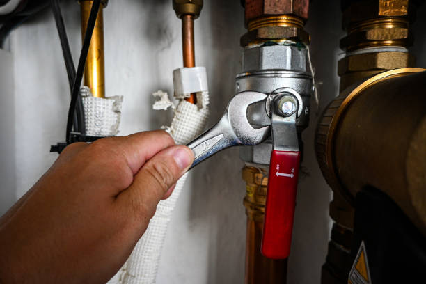 Best Clogged Drain Plumber  in Frenchtown, MT